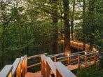 walkway walkway